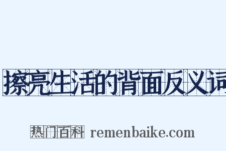 擦亮生活的背面反义词是什么意思的图片